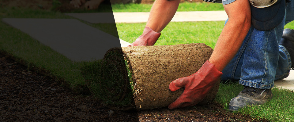Wallace Landscapers